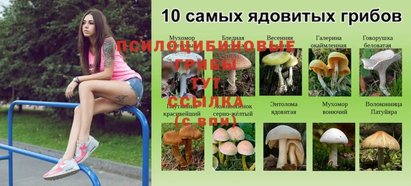 СК Абаза
