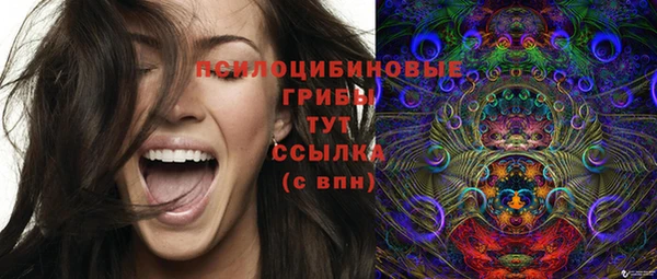 mix Протвино