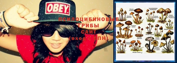 не бодяженный Абинск