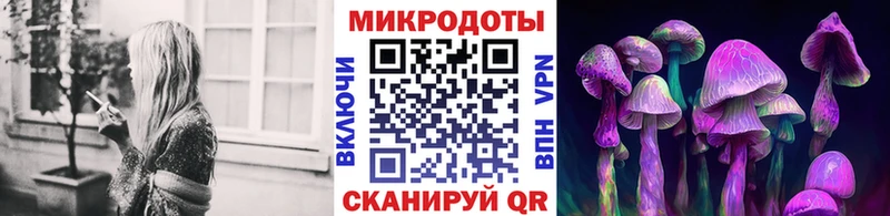 Галлюциногенные грибы MAGIC MUSHROOMS  хочу наркоту  Кадников 